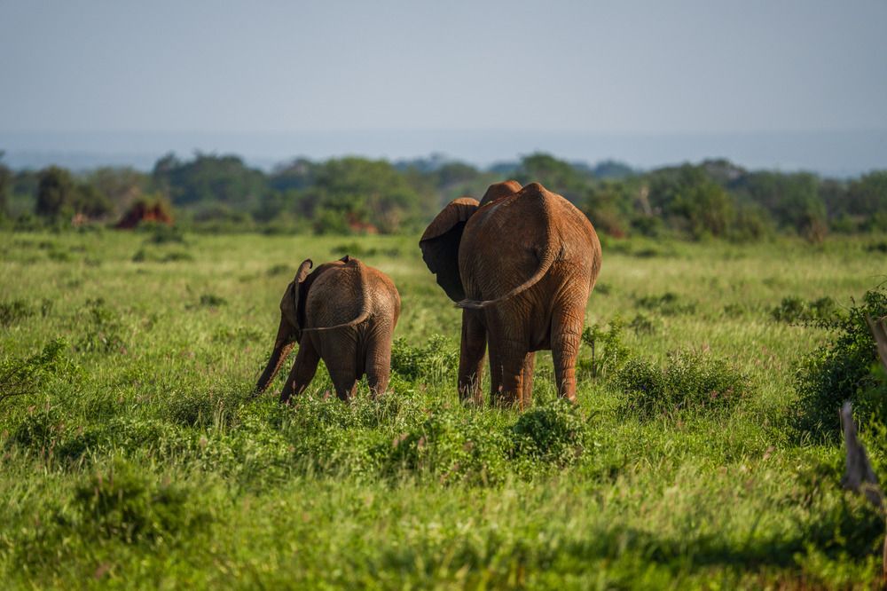 Photograph by Angelika Martko