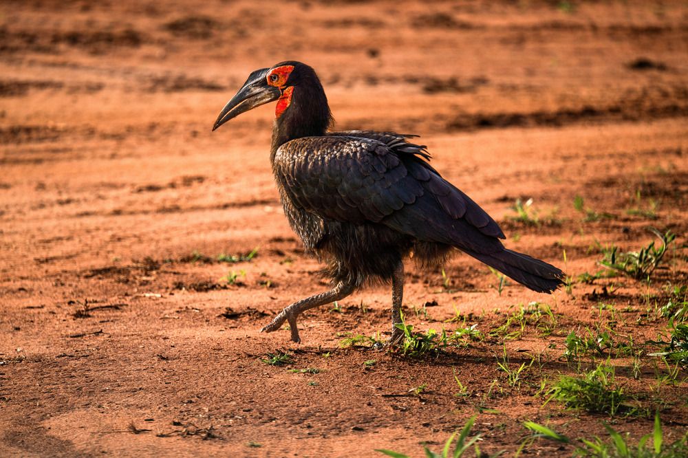 Photograph by Angelika Martko