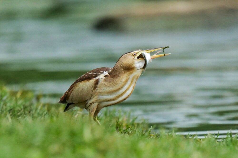 Photograph by Оксана Архипова