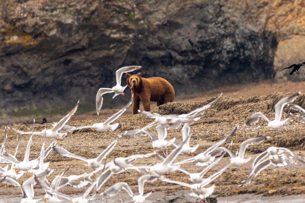 Photograph by Константин Шатилов