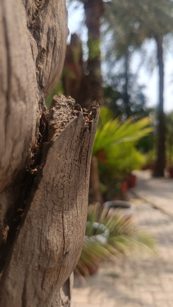 Photograph by Rani Sardar