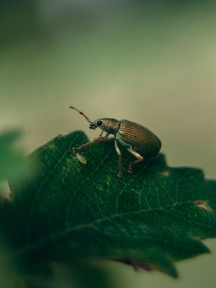 Photograph by ALISA NEZHINSKAYA