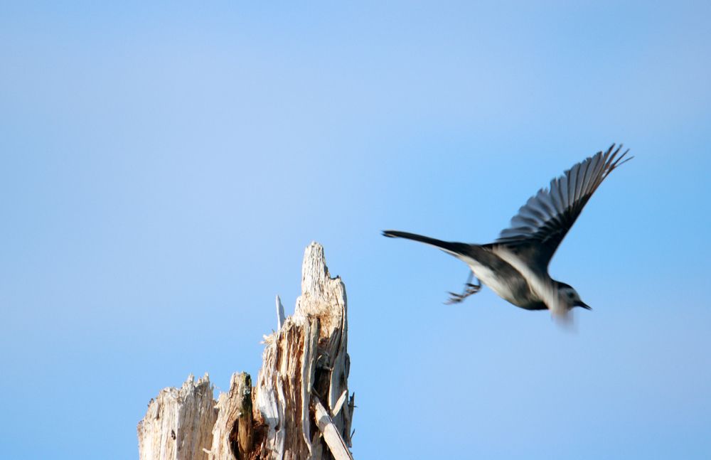 Photograph by Юлия Фомина