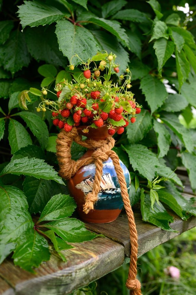 Фотография автора Ольга Степанова