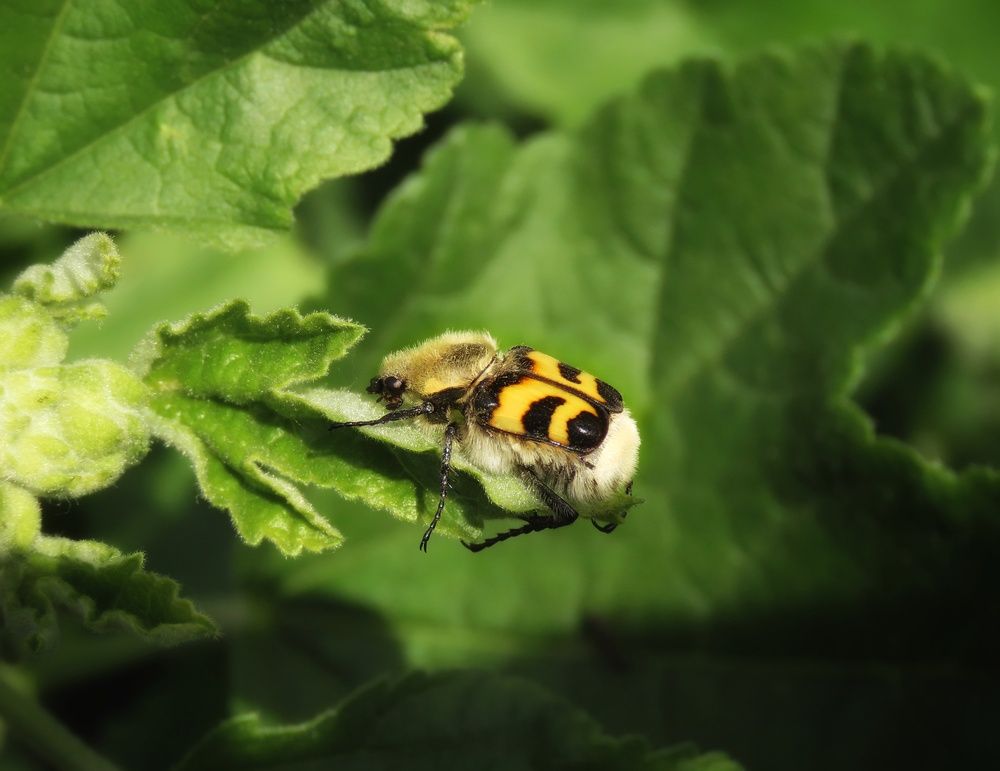 Фотография автора Екатерина Солохина