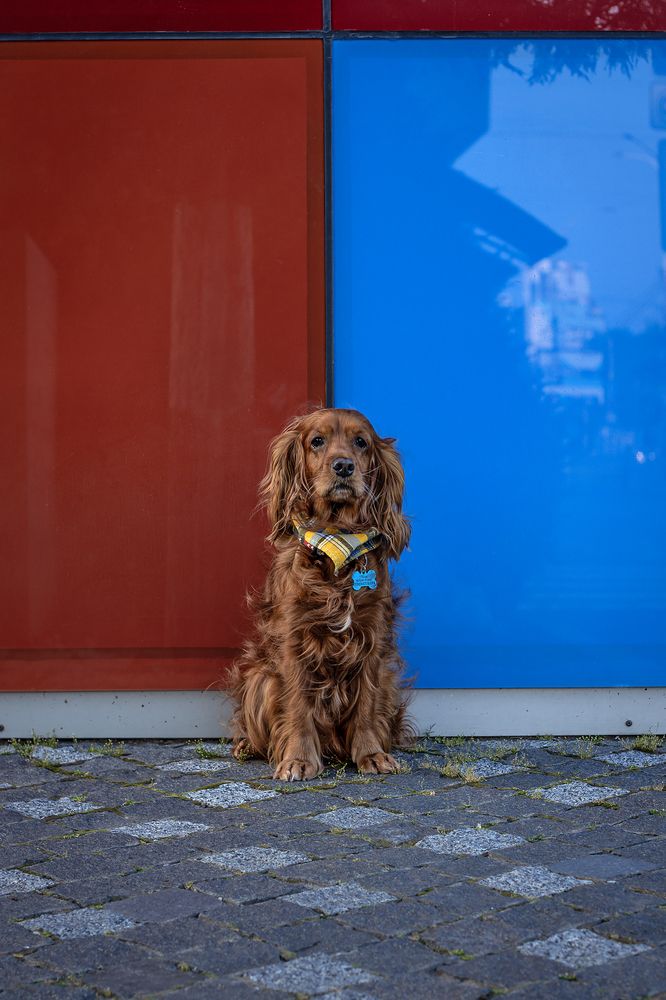 Photograph by Victoria Mogulyan