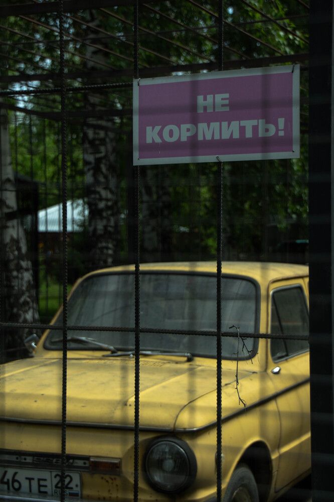 Photograph by Наталья Веряскина