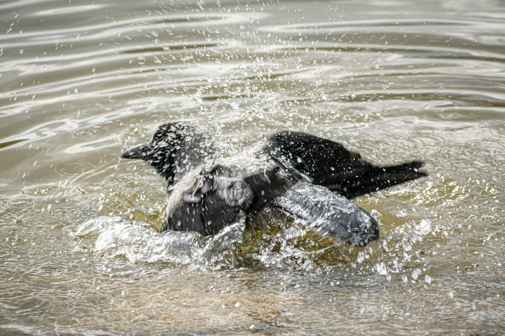 Photograph by Максим Жухлистов