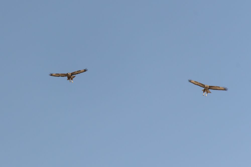 Photograph by Marcos Contreras Ortiz