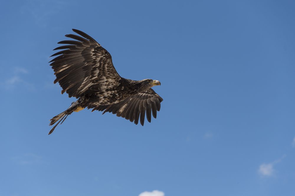 Photograph by Marcos Contreras Ortiz