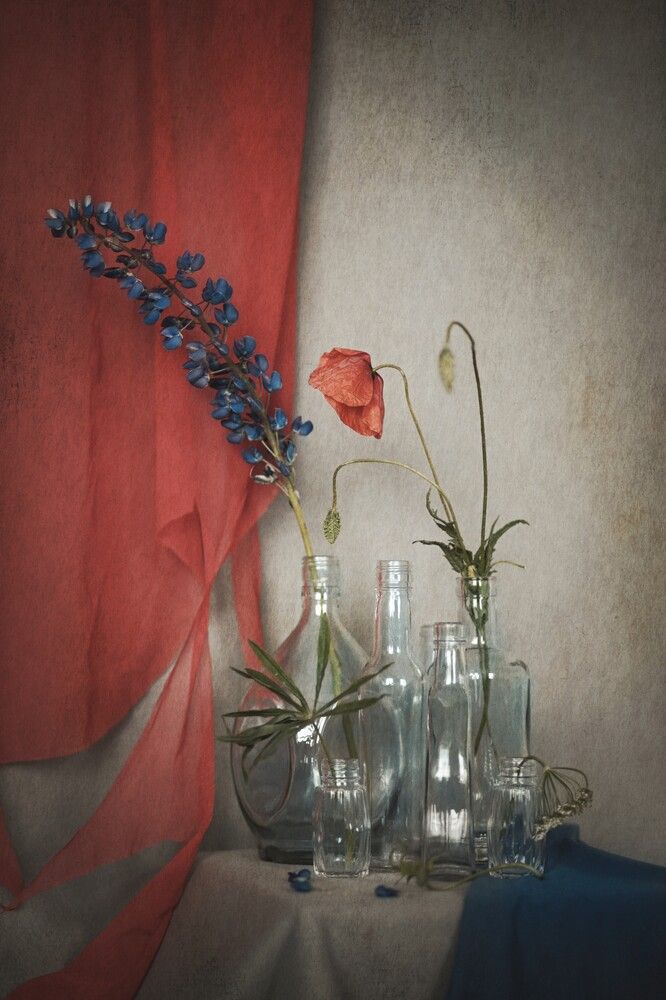 Photograph by Татьяна Максакова