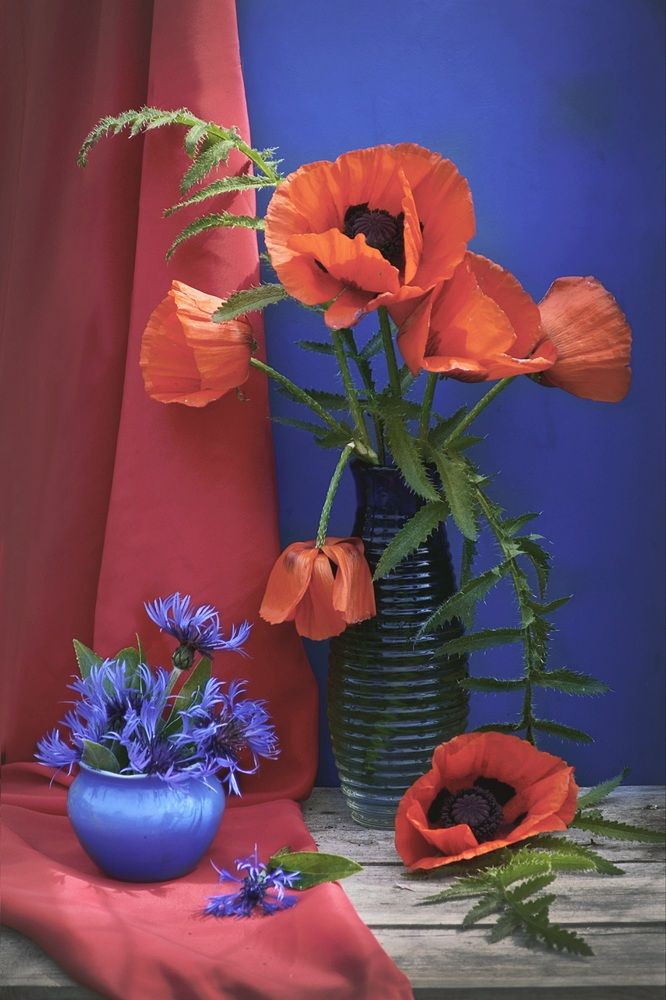 Photograph by Соколова Елена