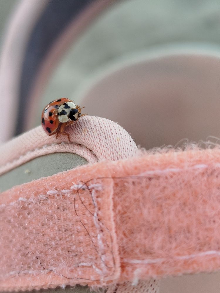 Photograph by Елизавета Слесарева