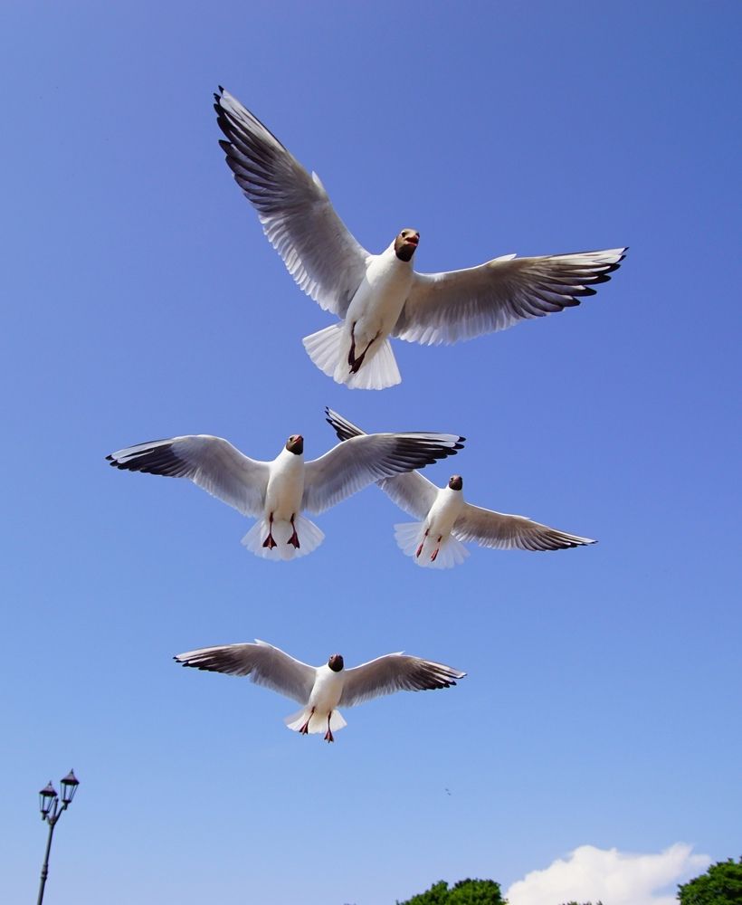 Photograph by Анна Васильева