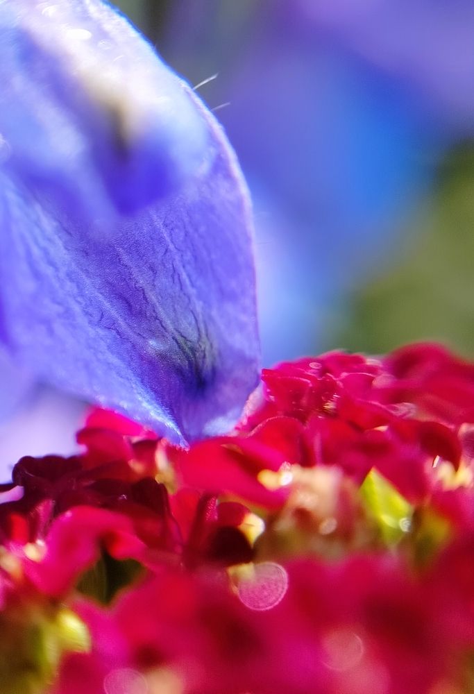 Photograph by Анастасия Горбачева