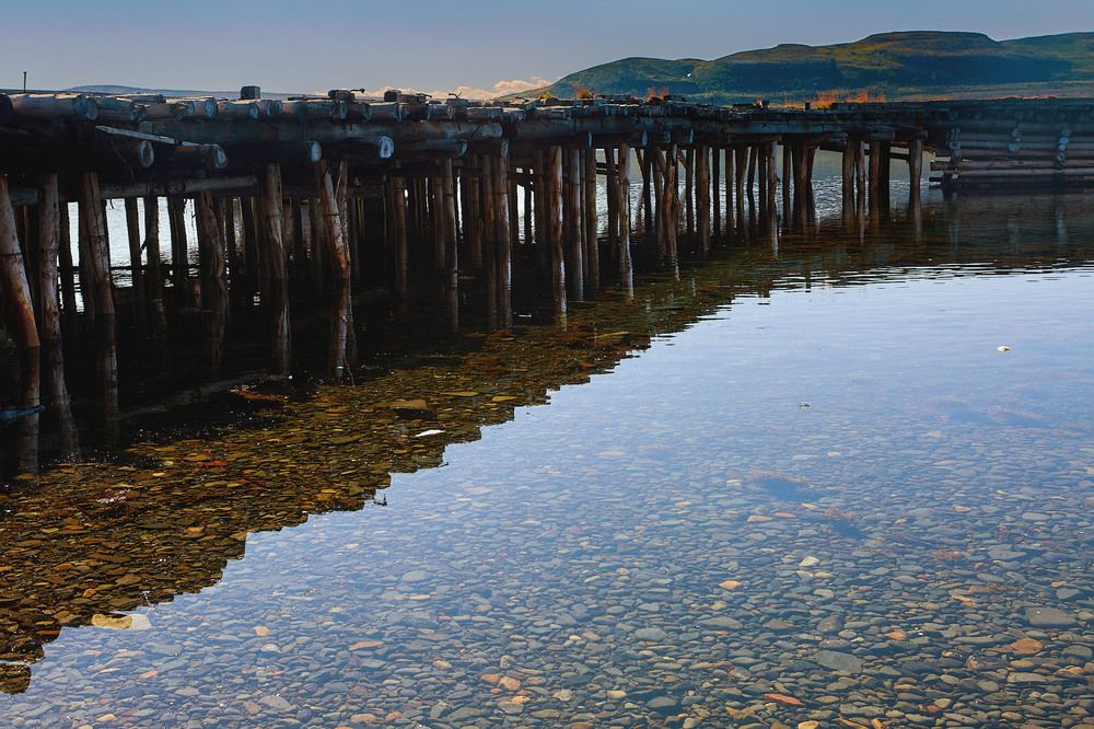 Фотография автора TOTORO