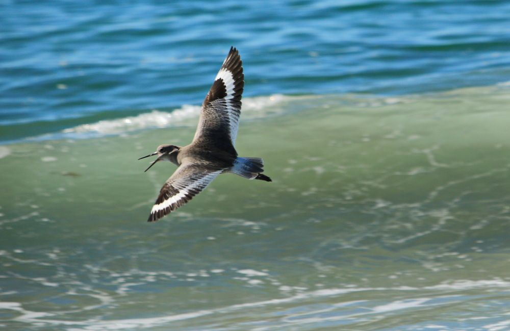 Фотография автора Анна Данилова