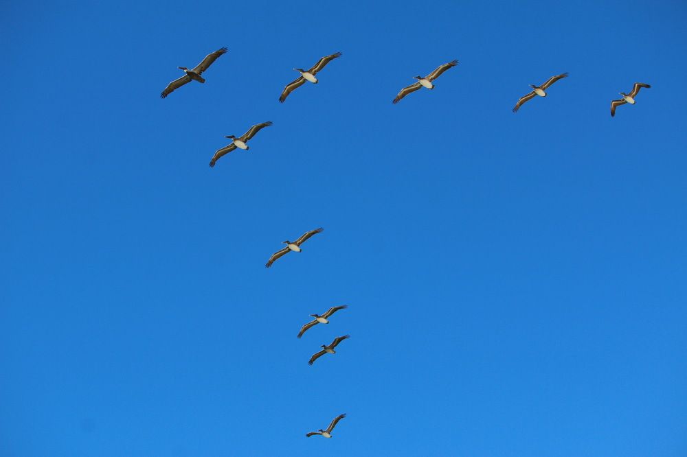 Фотография автора Анна Данилова