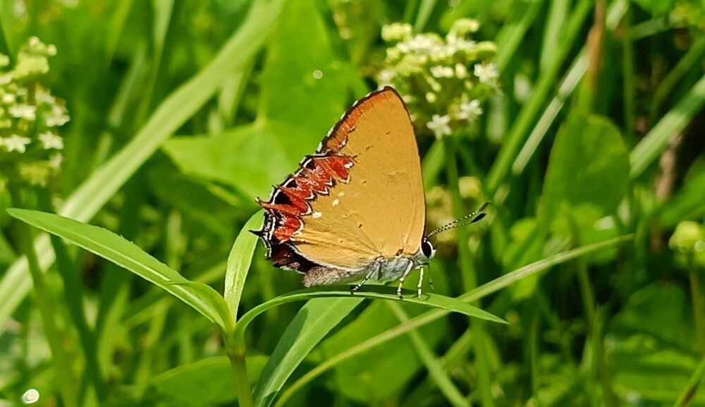 Photograph by Tina Gogoi