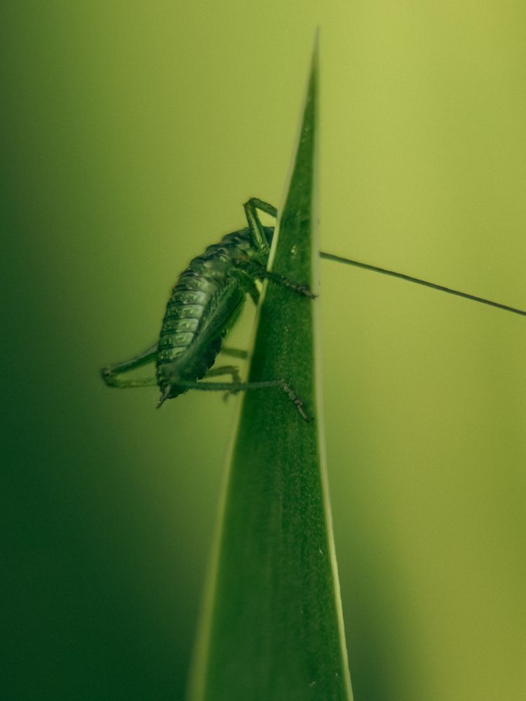 Photograph by Yuliya Karpova