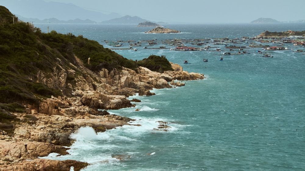 Photograph by Мария Гурьева