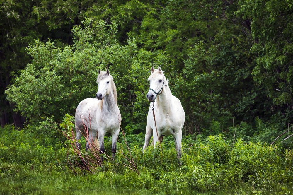Фотография автора Уткин Дмитрий