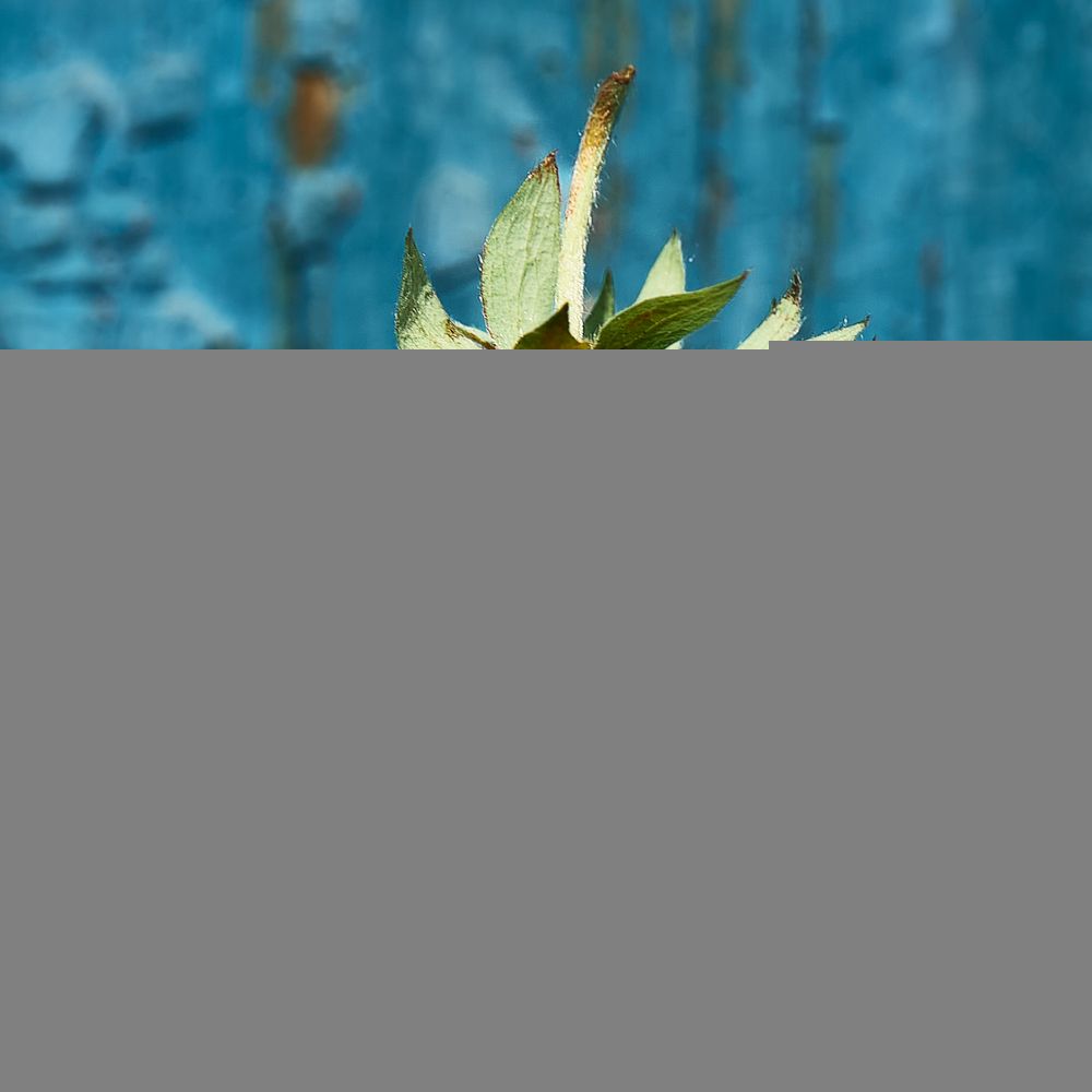 Photograph by Ирина Секачева