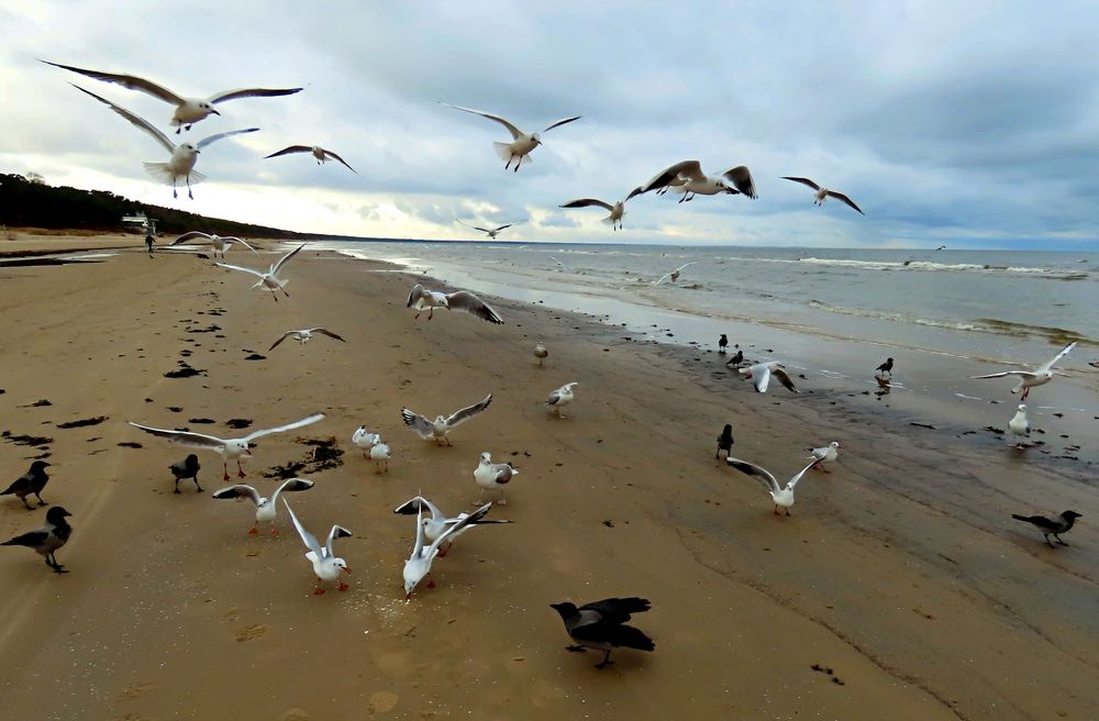 Photograph by Pjotr Alekseev