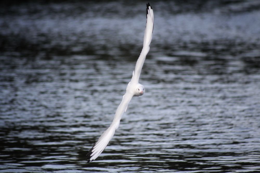 Photograph by Астафьева Анастасия