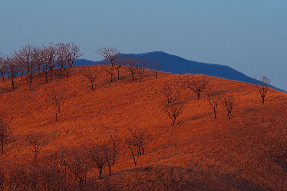Photograph by Ольга Мусиенко