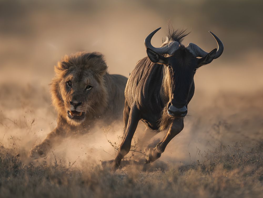 Photograph by Савчук Сергей