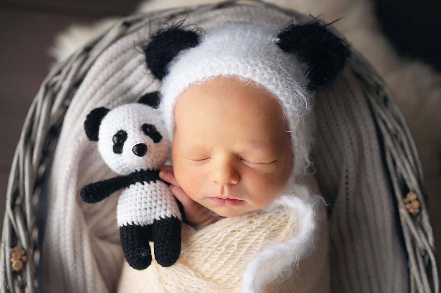 Фотография #12344452