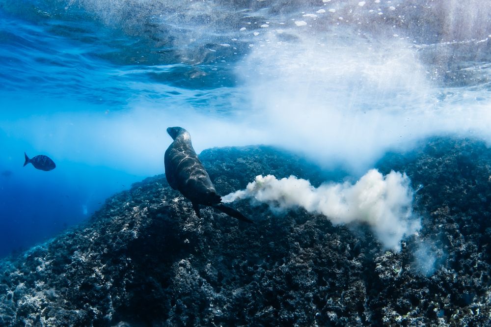 Photograph by nishijima takayuki