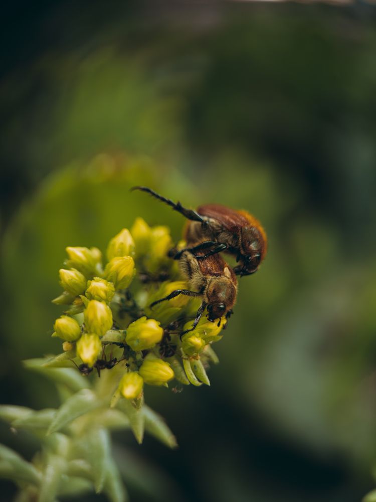 Photograph by Анна Голубцова