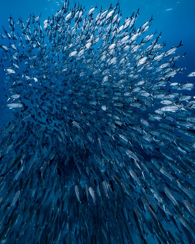 Photograph by nishijima takayuki