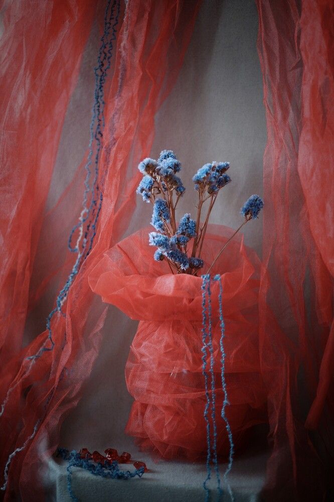 Photograph by Татьяна Максакова