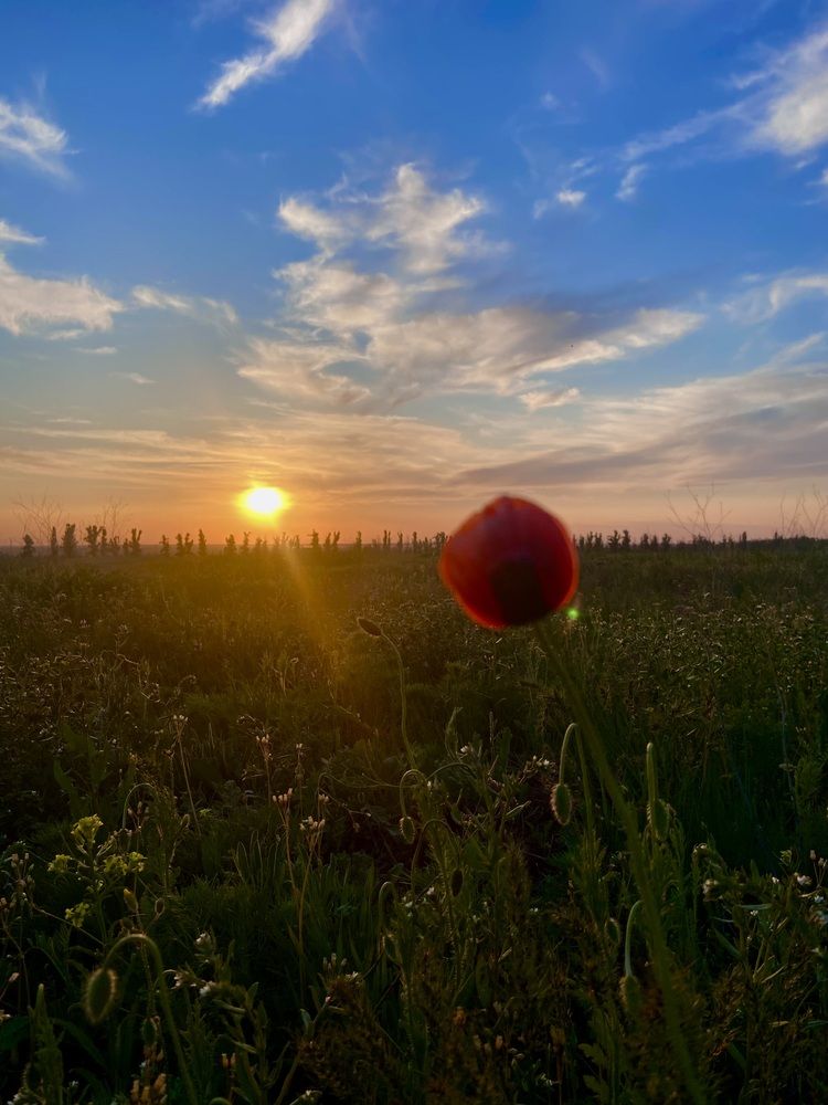 Photograph by Ирина Молибог