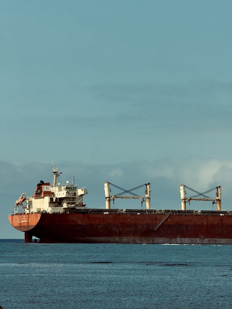 Фотография автора Елена Меньшикова