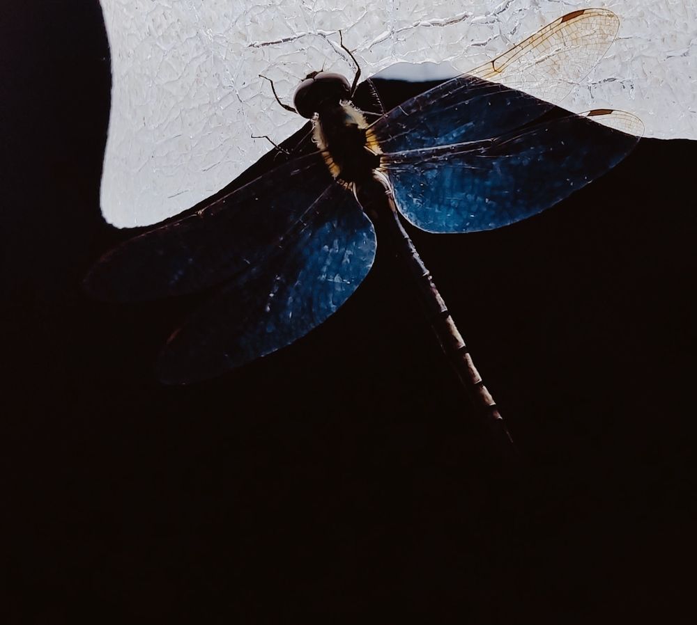 Photograph by Туяра Ходжер