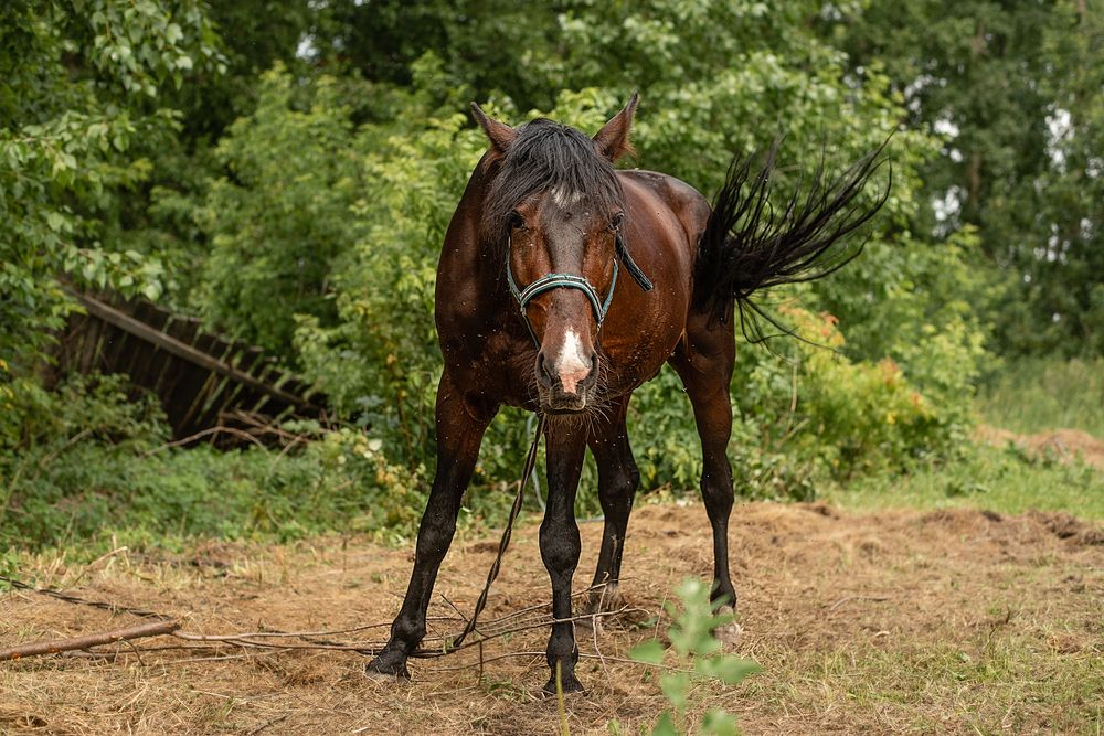 Фотография автора Екатерина Полякова