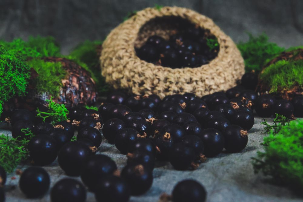 Photograph by Евгения Сенченко