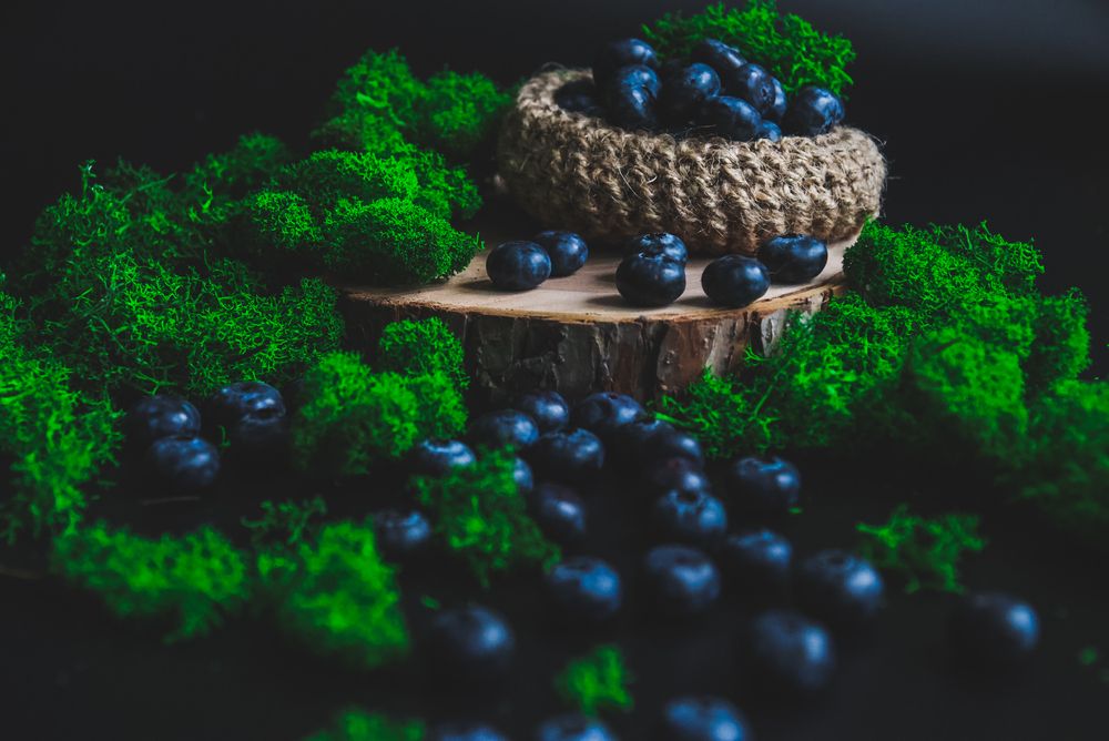 Photograph by Евгения Сенченко