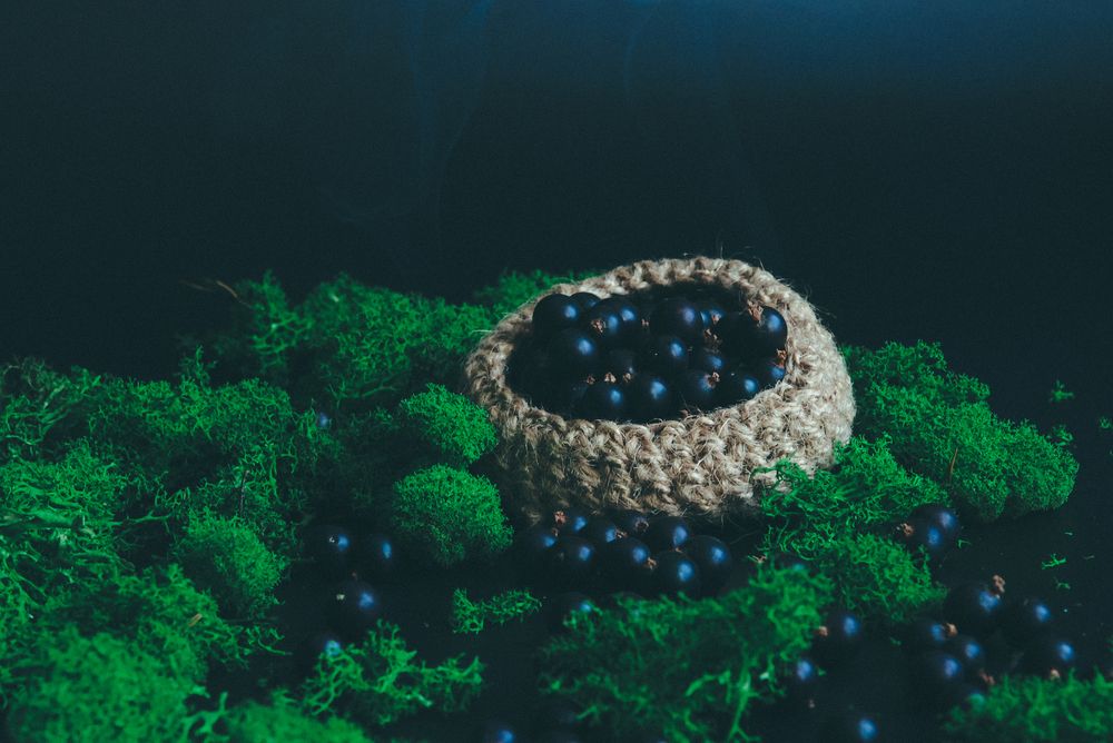 Photograph by Евгения Сенченко