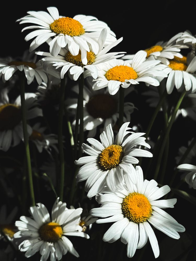 Фотография автора Татьяна Буянова