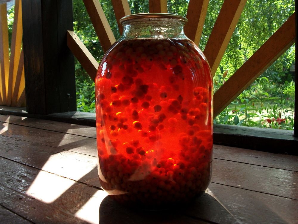 Photograph by Колесов Сергей