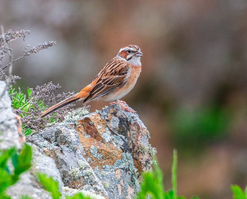 Photograph by Савчук Сергей