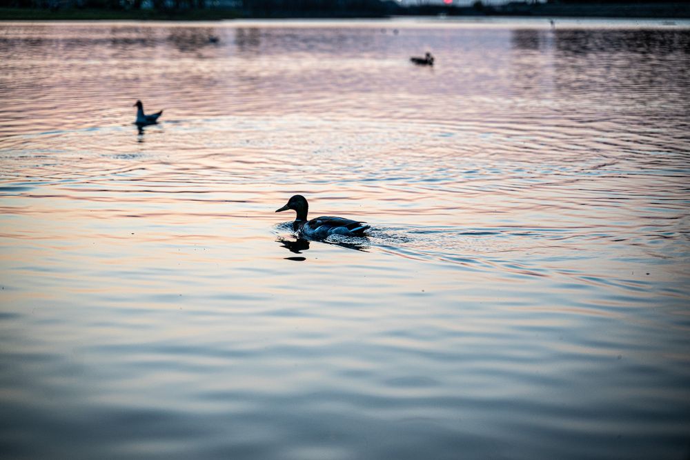 Photograph by Evgeniy