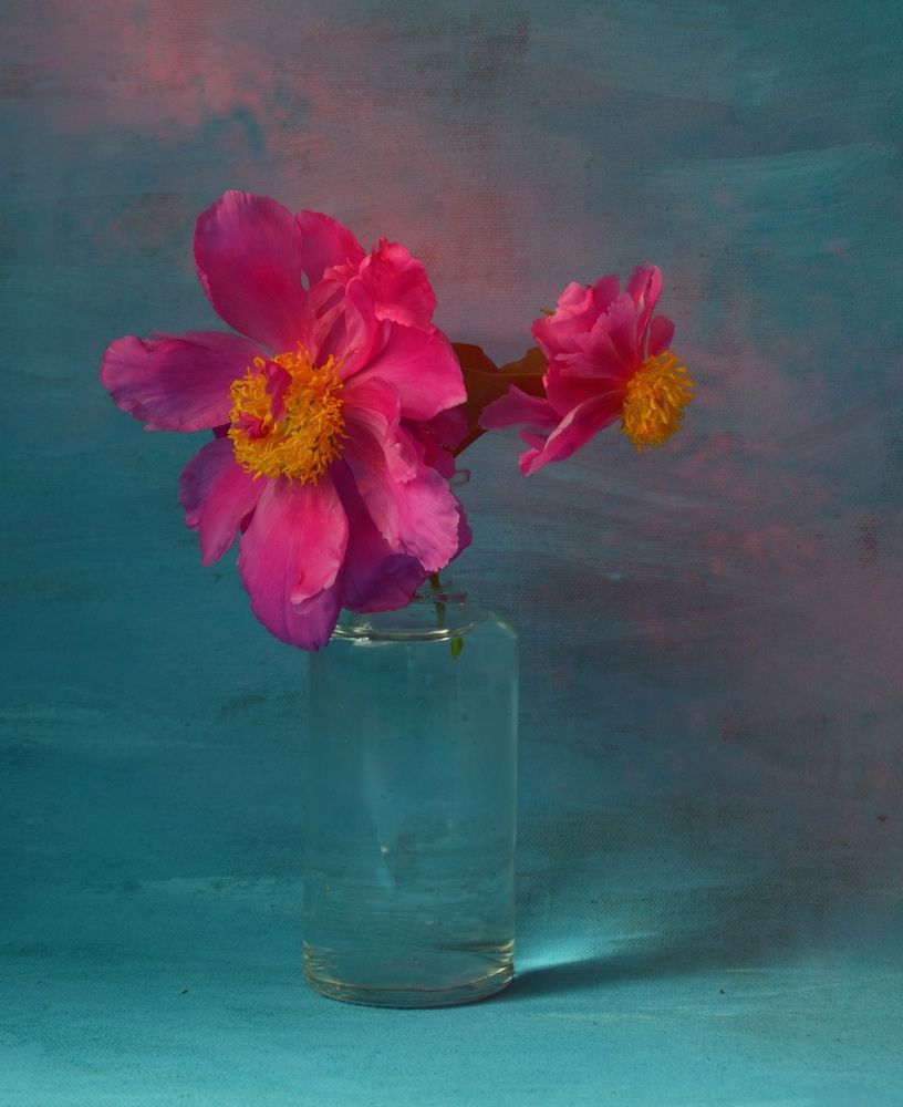 Photograph by Антонина Шабышева