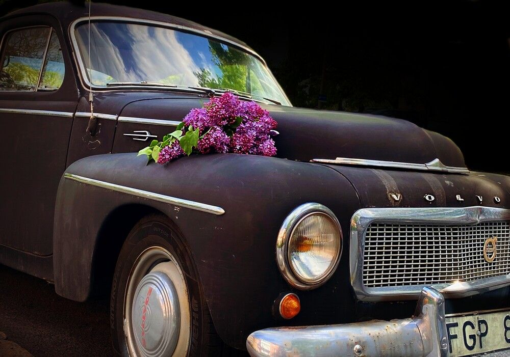 Photograph by Lena Feldman