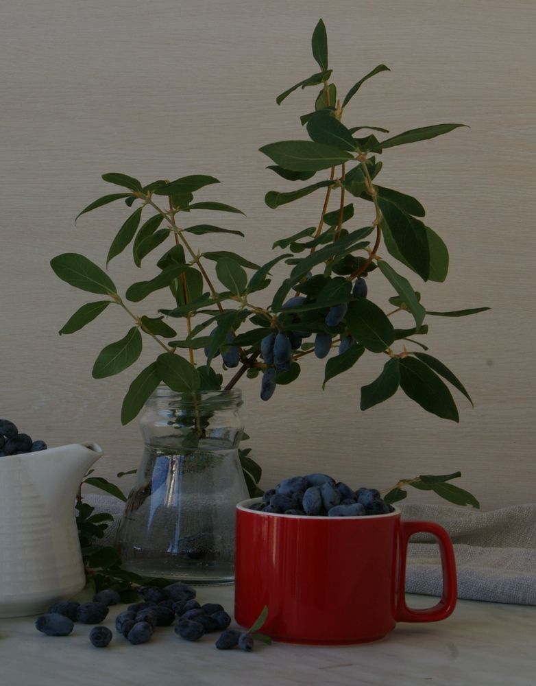 Photograph by Елена Алешкевич